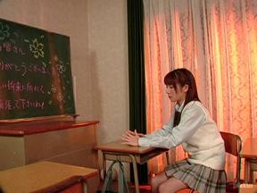 TORA TORA EVERGREEN After School Lullaby Aki Yato (Pikkur-02009) sample image 2