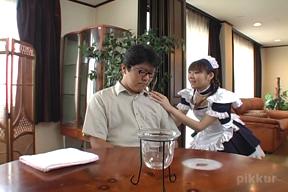 Natsumi's Maid Paradise (Pikkur-02599) sample image 4